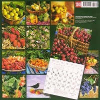 Календарь 2008 (на скрепке) Сад и огород / Gardening артикул 8212d.