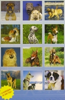 Календарь 2008 (на скрепке) Собаки артикул 8232d.